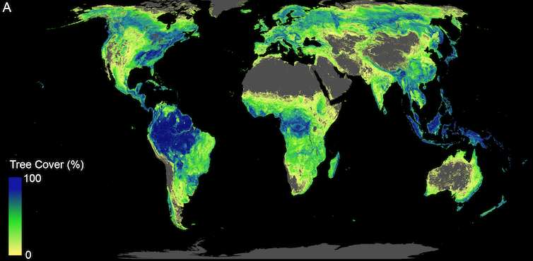 خريطة توضح تركيز الغطاء الشجري في جميع أنحاء العالم / Credit: Crowther Lab via The Conversation.